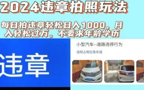 2024违章拍照新玩法,推广躺赚+拍照赚钱双模式,日入1000+-青简副业网