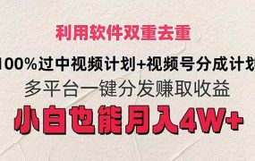 利用软件双重去重,100%过中视频+视频号分成计划小白也可以月入4W+-青简副业网