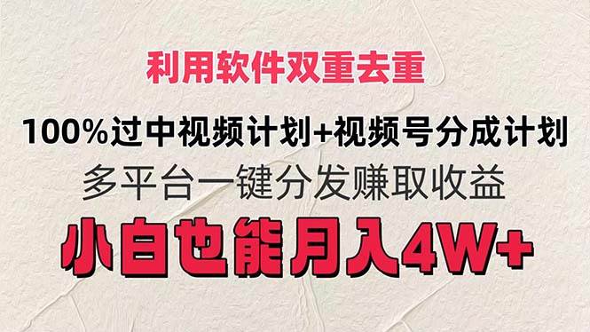 利用软件双重去重，100%过中视频+视频号分成计划小白也可以月入4W+-青简副业网