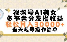 视频号AI美女,轻松月入30000+,操作简单轻松上手-青简副业网