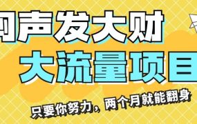闷声发大财,大流量项目,月收益过3万,只要你努力,两个月就能翻身-青简副业网