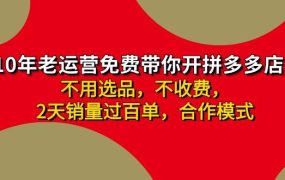 拼多多 最新合作开店日收4000+两天销量过百单,无学费、老运营代操作、...-青简副业网