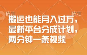 搬运也能月入过万，最新平台分成计划，一万播放一百米，一分钟一个作品-青简副业网