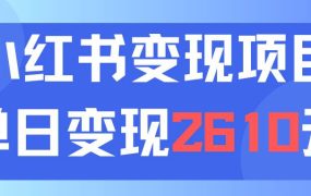 利用小红书卖资料单日引流150人当日变现2610元小白可实操（教程+资料）-青简副业网