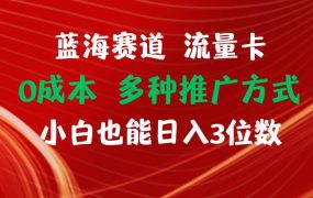 蓝海赛道 流量卡 0成本 小白也能日入三位数-青简副业网
