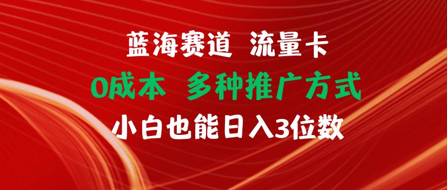 蓝海赛道 流量卡 0成本 小白也能日入三位数-青简副业网
