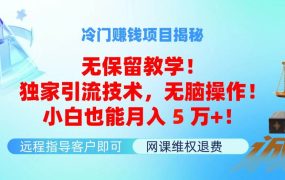 冷门赚钱项目无保留教学!独家引流技术,无脑操作!小白也能月入5万+!-青简副业网