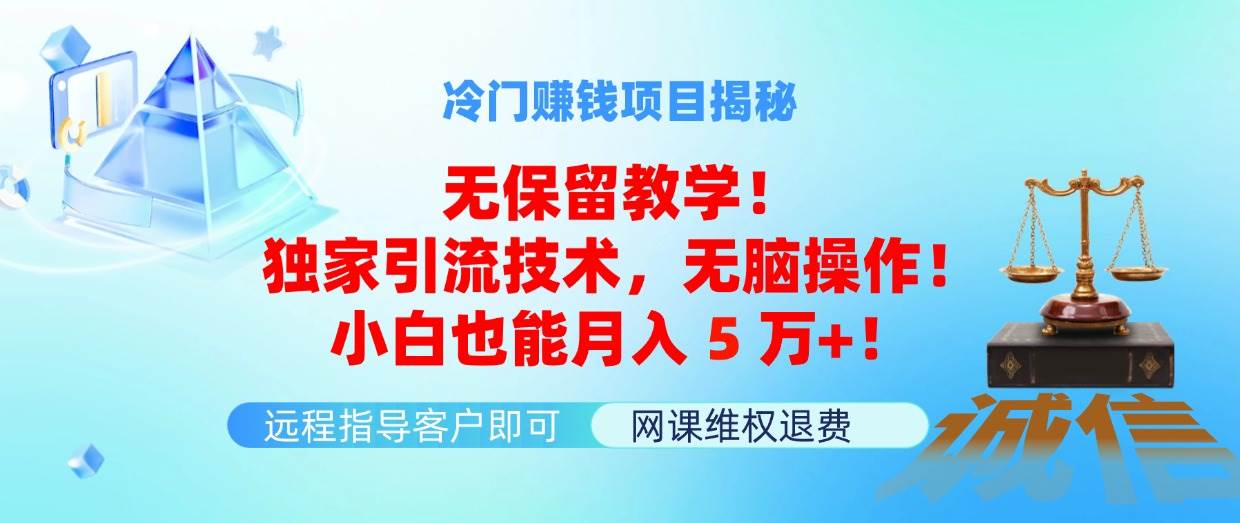 冷门赚钱项目无保留教学！独家引流技术，无脑操作！小白也能月入5万+！-青简副业网