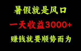 一天收益3000+ 赚钱就是顺势而为,暑假就是风口-青简副业网