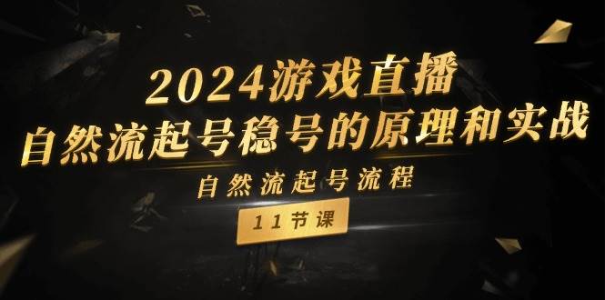 2024游戏直播-自然流起号稳号的原理和实战，自然流起号流程（11节）-青简副业网