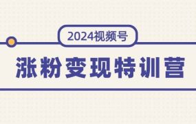 2024视频号-涨粉变现特训营:一站式打造稳定视频号涨粉变现模式(10节)-青简副业网