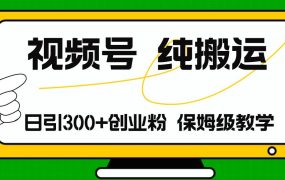 视频号纯搬运日引流300+创业粉,日入4000+-青简副业网