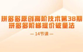 拼多多原创高阶技术第38期,拼多多阶梯提价破量法(14节课)-青简副业网