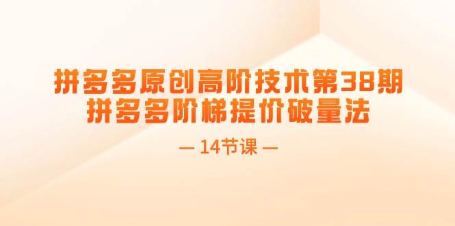 拼多多原创高阶技术第38期，拼多多阶梯提价破量法（14节课）-青简副业网