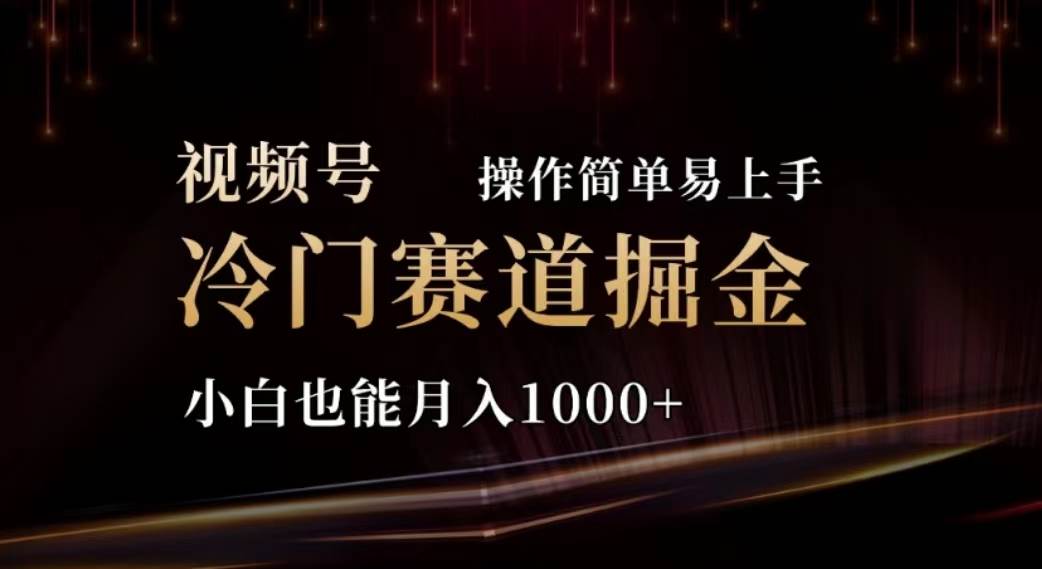 2024视频号冷门赛道掘金，操作简单轻松上手，小白也能月入1000+-青简副业网