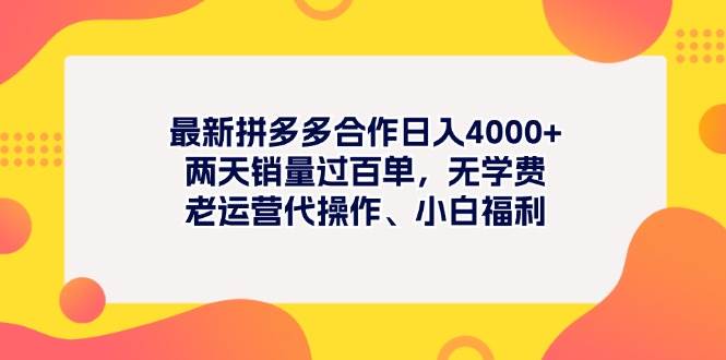 最新拼多多项目日入4000+两天销量过百单，无学费、老运营代操作、小白福利-青简副业网
