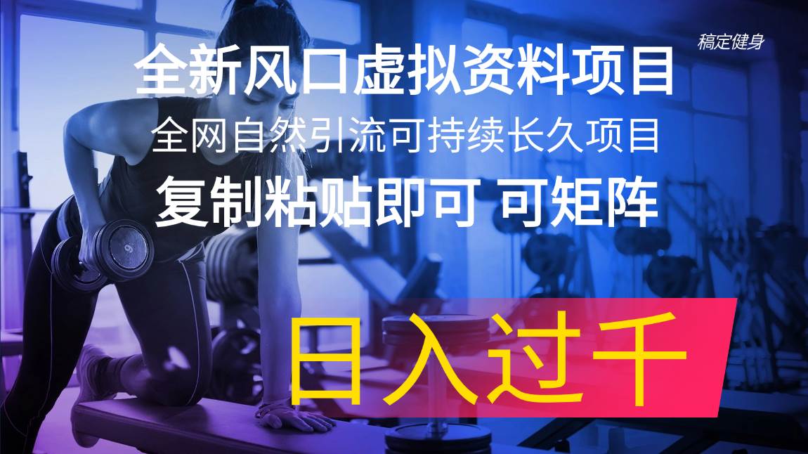 全新风口虚拟资料项目 全网自然引流可持续长久项目 复制粘贴即可可矩阵…-青简副业网