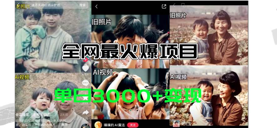 全网爆火的AI让老照片动起来教程，蹭热点日赚3000+，内含免费工具一键…-青简副业网