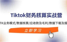 Tiktok财务核算实战营：TK业务模式/数据核算/应收款及毛利/数据下载及报表-青简副业网