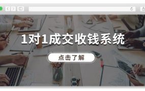 1对1成交 收钱系统,十年专注于引流和成交,全网130万+粉丝-青简副业网