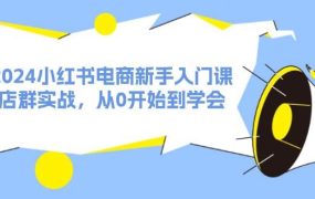 2024小红书电商新手入门课，店群实战，从0开始到学会（31节）-青简副业网