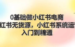 0基础做小红书电商，小红书无货源，小红书系统运营，入门到精通 (70节)-青简副业网