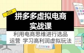 拼多多虚拟电商实战课:虚拟资源选品+运营,高利润虚拟玩法(更新14节)-青简副业网