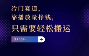 冷门赛道，靠播放量挣钱，只需要轻松搬运，日赚300+-青简副业网