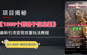抖音一千个野路子信息差最新玩法教程-变现＋引流的玩法具体拆解-青简副业网