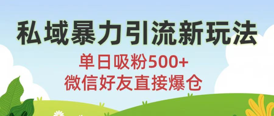 私域暴力引流新玩法!单日吸粉500+，微信好友直接爆仓-青简副业网