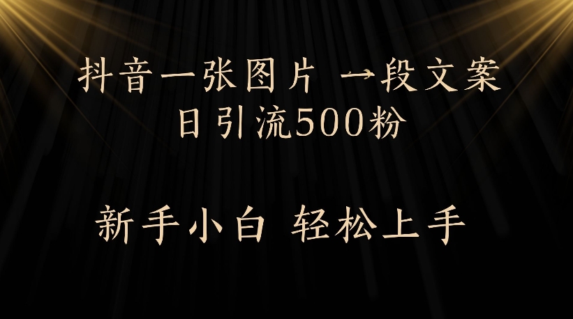 抖音一张图片，一段文案日引流500粉，新手小白 轻松上手-青简副业网