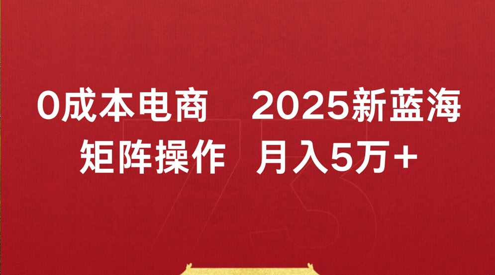 0成本电商2025新蓝海矩阵操作 月入5万+-青简副业网