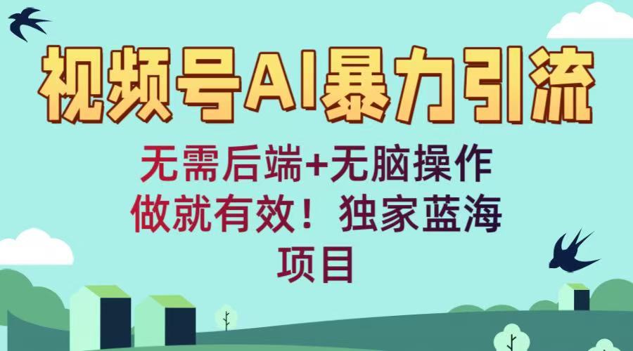 视频号AI暴力引流：无需后端+无脑操作，做就有效！独家蓝海项目-青简副业网