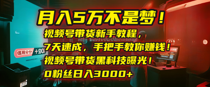 月入5万不是梦！视频号带货新手教程，7天速成，手把手教你赚钱！视频号带货黑科技曝光！0粉丝日入3000+-青简副业网