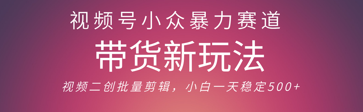 视频号小众暴力赛道，最新带货玩法 小白也能轻松日入500+ 保姆及教程-青简副业网