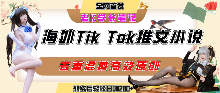 海外tiktok小说推文暴力项目，高停留率，高转化率，上手后一天搞顿饭钱不是问题-青简副业网