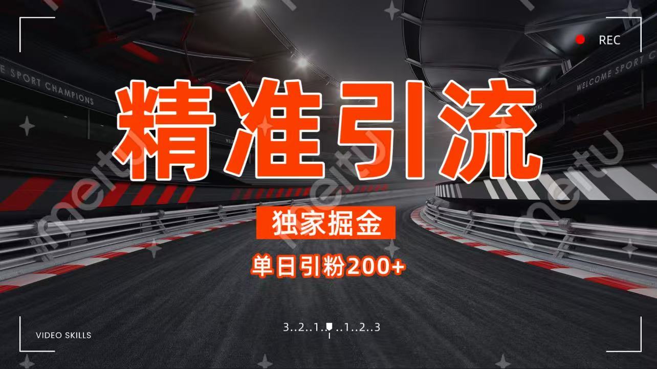 独家野路子精准引流 每日200+-青简副业网