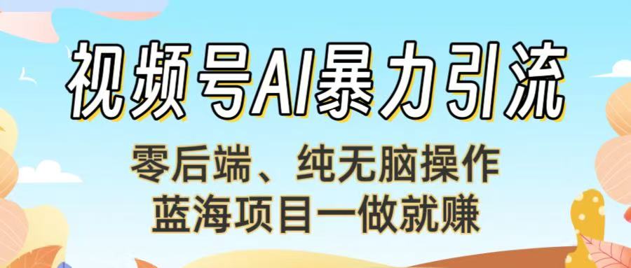 视频号AI暴力引流：零后端、纯无脑操作，蓝海项目一做就赚！【下面那个链接失效了】-青简副业网