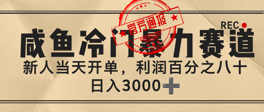 闲鱼，冷门暴力赛道，一单 80%利润，新人轻松日入 3000+-青简副业网
