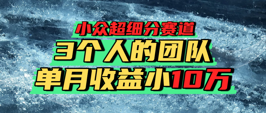 小众超细分赛道，一年百万利润的盘子！-青简副业网