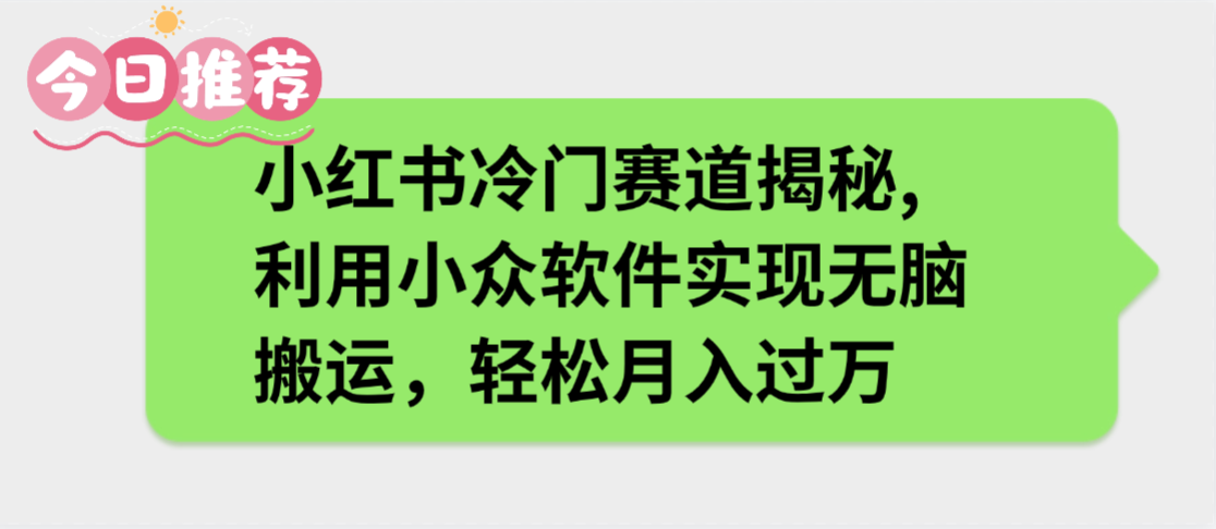 小红书冷门赛道揭秘,利用小众软件实现无脑搬运，轻松月入过万-青简副业网